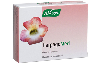 L’harpagophytum, un anti-inflammatoire naturel