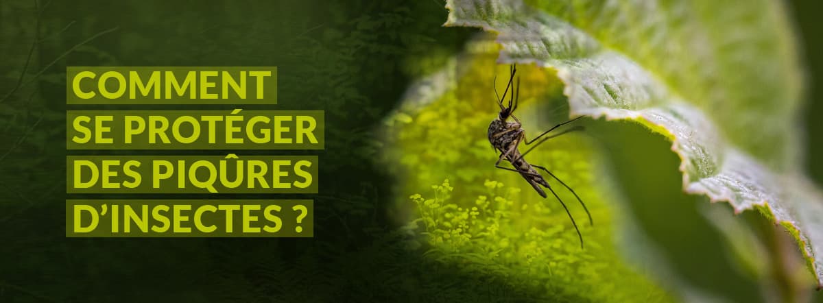 Comment se prot&eacute;ger des piq&ucirc;res d&rsquo;insectes ?