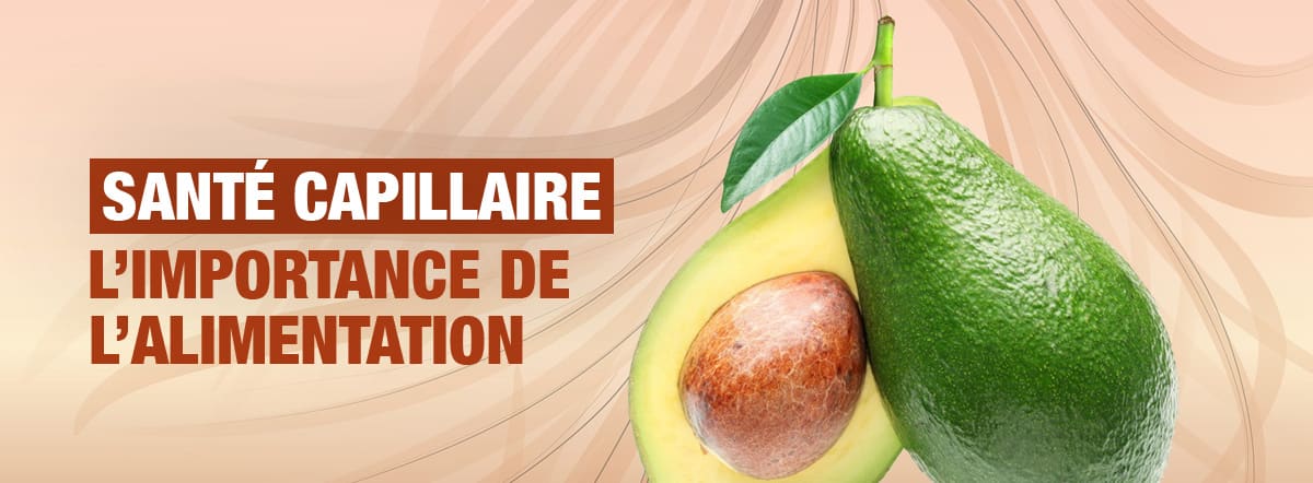 Comment stopper la chute des cheveux : une approche pr&eacute;ventive par l&rsquo;alimentation