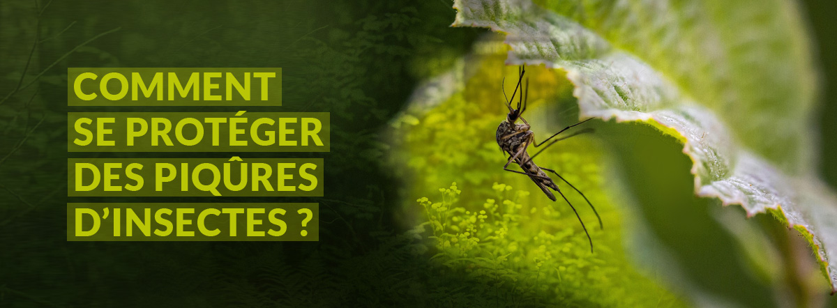 Comment se protéger des piqûres d'insectes ?