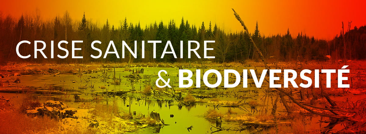 Crise sanitaire et de la biodiversité 