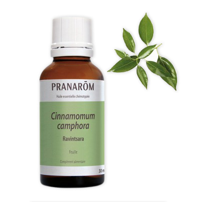 Ravintsara Pranarom 30ml