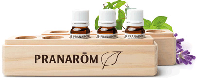 PRANABOX en bois naturel